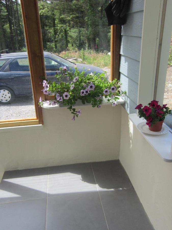 Croagh Bay Bed and Breakfast Schull Esterno foto